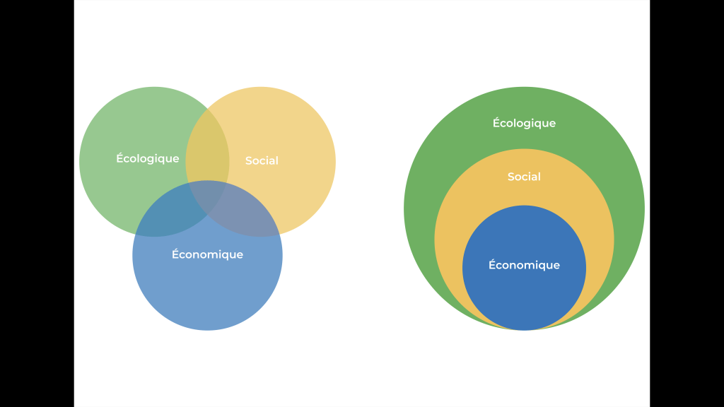 Quand le covid-19 fait voler en éclat la soi-disant substituabilité des « capitaux »