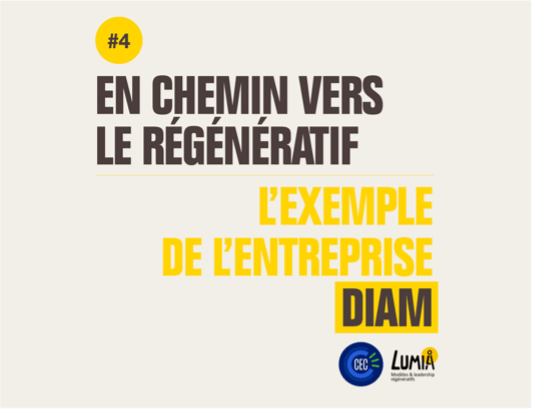 Etude de cas BPI-CEC-Lumia : DIAM