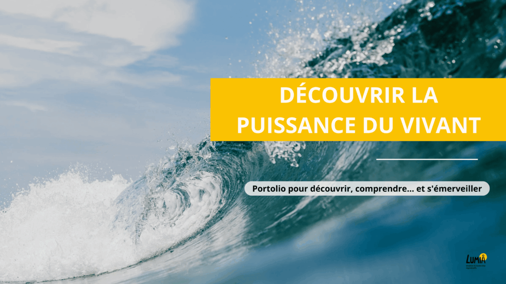 Portfolio - Découvrez la puissance du vivant