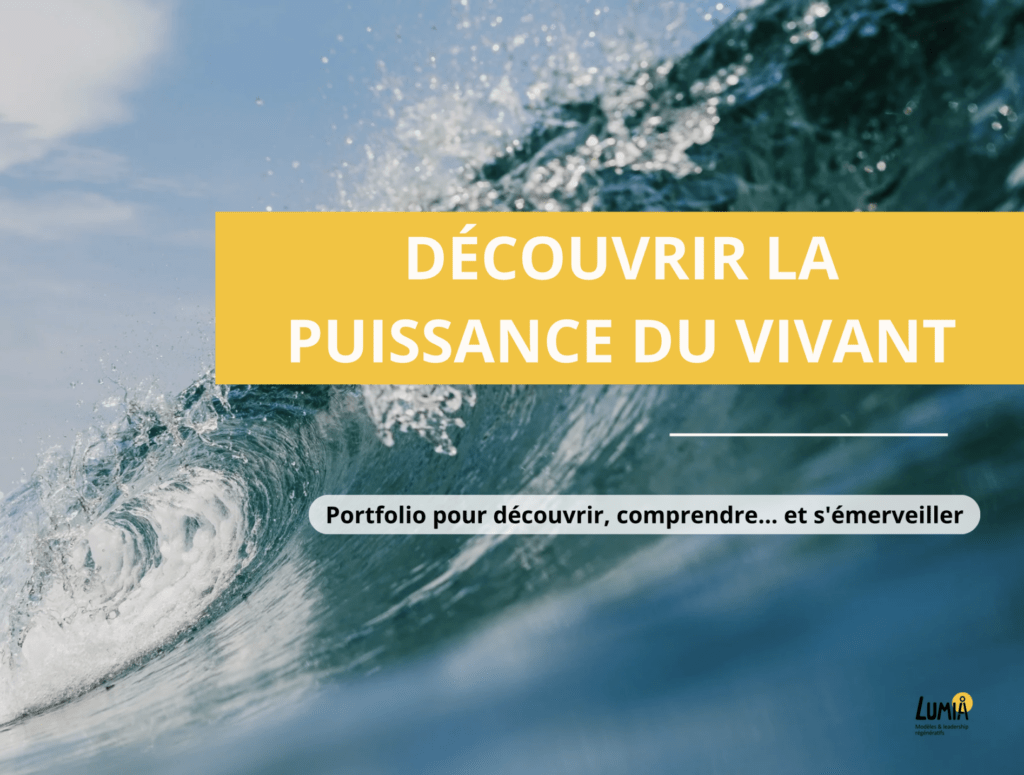 Portfolio - Découvrez la puissance du vivant